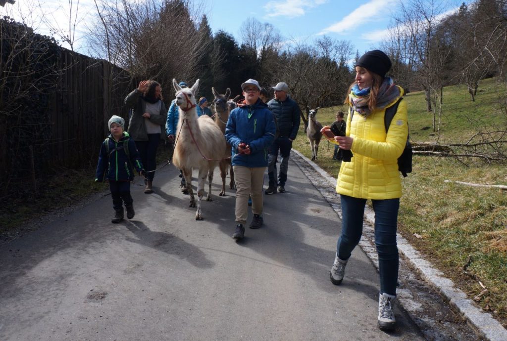 inklusive Gruppe wandert mit Lamas