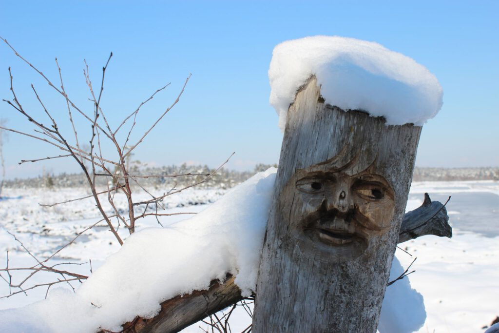 schneebedeckter Baumstamm mit einem Gesicht